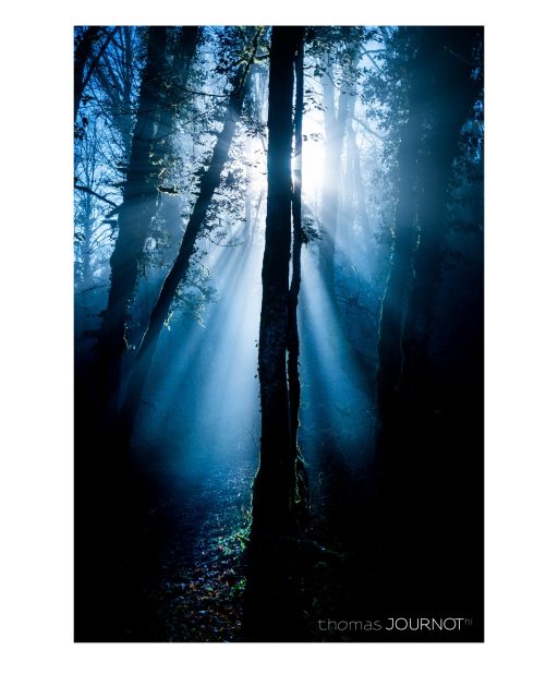 sortie dominicale #thomasjournot 

pour commander un tirage : https://www.jingoo.com/album/postershop/index.php?id_photographe=3130003